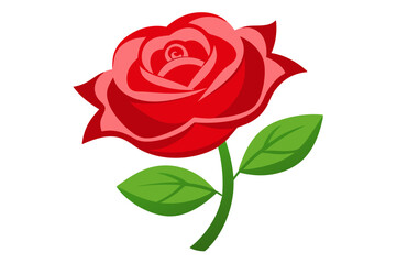 Valentine Rose | isolated vector illustration on white background