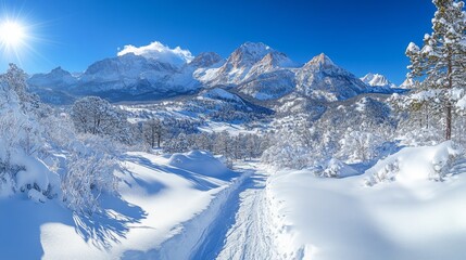 Poster - A pristine winter landscape showcases snow-laden mountains and a winding path through a peaceful valley. The bright blue sky enhances the serene atmosphere of the snowy scene.
