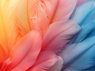 Poster - Close-Up of Soft, Multicolored Bird Feathers with Gradient Hues