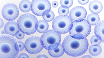 Wall Mural - 3d rendering of human cell or embryonic stem cell microscope background.