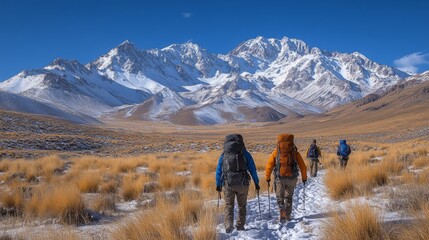 Aufkleber - A group of hikers navigates a snowy path surrounded by tall grass in the Andes Mountains. The stunning peaks tower under clear blue skies, creating a breathtaking winter landscape.