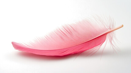 Aufkleber - Pink feather on gradient background, soft texture and delicate appearance. Abstract art and serene concept