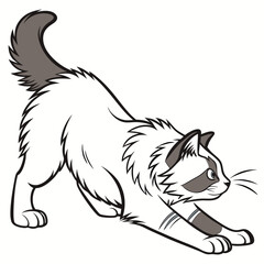 Ragdoll cat hunting vector illustration.