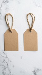 Poster - Two price tags attached to identical items, with one tag showing a premium price and the other a discount, showcasing price comparison with copy space for messaging.