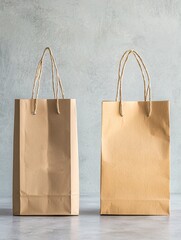 Poster - A split image of two shopping bags, one labeled high price and the other labeled value, placed against a minimalist backdrop with ample copy space.