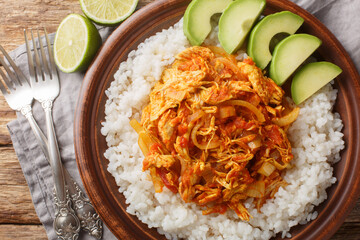 Wall Mural - Tinga is a Mexican dish made with shredded chicken in a sauce made from tomatoes, chipotle in adobo, and sliced onions served with rice and avocado closeup in plate. Horizontal top view from above