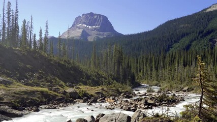 Wall Mural - Glacier-fed waters from Takakkaw Falls flow into Yoho River with Wapta Mountain in the background in a sunny summer day. Yoho National Park, Canadian Rockies, British Columbia, Canada.