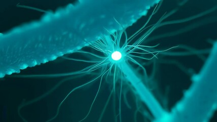 Wall Mural - growth pulsating brain forge new visiblyconnections cones each cone beat connection microbiology mob