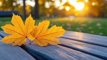 Sticker - Two yellow maple leaves on a wooden bench with a blurred background of a park at sunset.