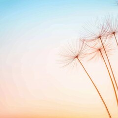 Poster - Delicate Dandelion Seeds Against Soft Background