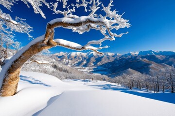 Poster - Outline of snow-covered mountains with light snowfall, capturing the clean, majestic beauty of winter peaks, symbolizing elegance and calm