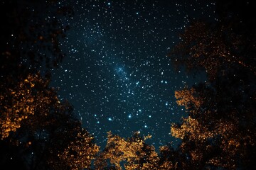A night sky full of stars is seen through the silhouette of trees.
