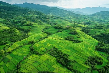 Wall Mural - Aerial View of Rolling Green Hills with Terraced Farmland