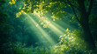 © 梦洁 何 - spring nature