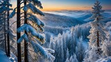 Fototapeta Na ścianę - Snowy Forest in Mountain Sunrise