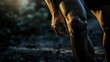 © WisChi - Close Up of Male Leg and Hand in Sunlit Forest