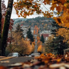 Poster - A panoramic view of a city from a hill during autumn, with vibrant foliage and urban architecture
