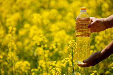 A Beautiful Golden Oil Bottle Positioned Against a Stunningly Vibrant Yellow Flower Field