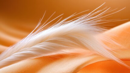 Cat whisker roots, close-up of sensitive facial hairs and detailed fur, natural texture