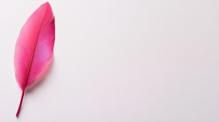 Poster - Single Pink Feather on a White Textured Background