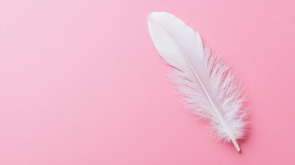 Poster - A Single White Feather on a Pink Background