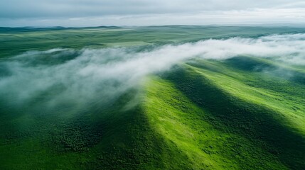 Wall Mural - Aerial View of Rolling Green Hills with Mist