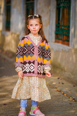 Wall Mural - Portrait of a child in autumn 