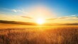 © Koplexs-Stock - Golden Sunset Over a Field of Grass