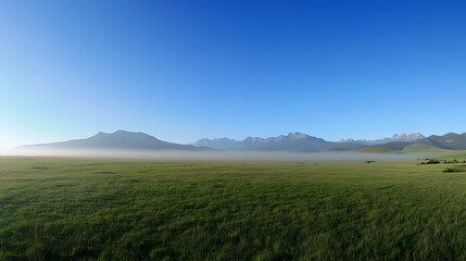 Poster - panoramic view of a foggy green meadow with mountains in the background, a blue sky, the sunny morning light