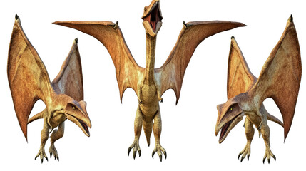 Poster - Three Pteranodons and a Pterodactylus on Clear Background Generative AI