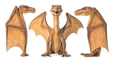 Poster - Three Pteranodons and a Pterodactylus on a Transparent Background Generative AI