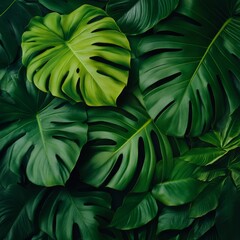 Lush green tropical leaves create a vibrant, natural background.