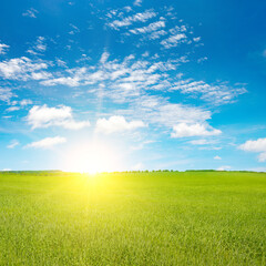 Wall Mural - fantastically bright sky over green field.