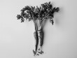 © vefimov - The image shows a potted plant with three visible roots, suggesting growth and vitality. The vegetable could be a potato or yam given its appearance.