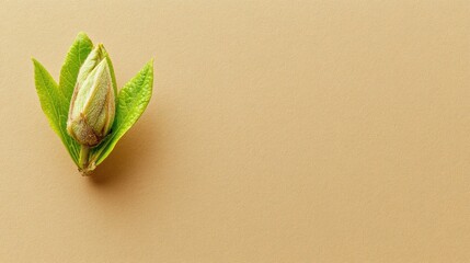Aufkleber - Single Green Bud with Leaves on a Beige Background