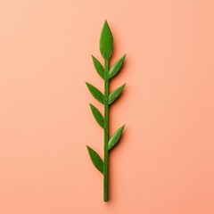 Wall Mural - Single green plant stem with leaves on a peach background.