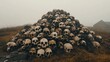 © Joyce - A large pile of skulls.