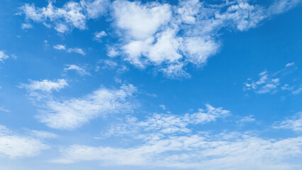 Wall Mural - sky is blue and clear with no clouds