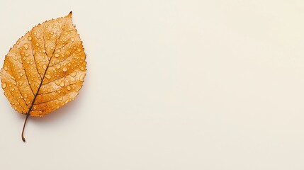 Poster - Close-Up of Wet Leaf with Raindrops Glistening