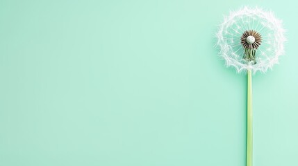 Poster - Intricate Dandelion Seed Details in Soft Focus