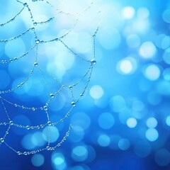 Poster - Dew-Kissed Spider Web in Soft Focus