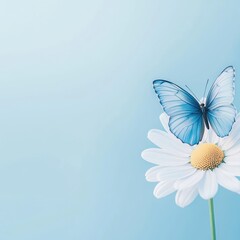 Poster - Butterfly on Daisy with Subtle Pastel Tones