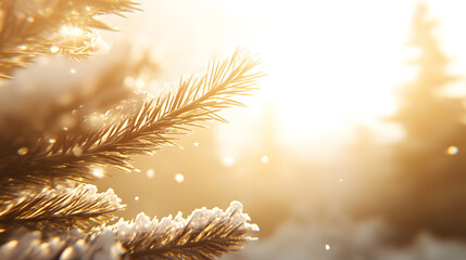 Poster - A serene winter scene featuring snow-dusted pine branches bathed in warm sunlight, creating a magical, tranquil atmosphere.