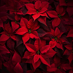Wall Mural - Abstract background with red Poinsettia leaves. Vertical composition.