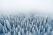 © Rawpixel.com - Snowy forest outdoors woodland nature.
