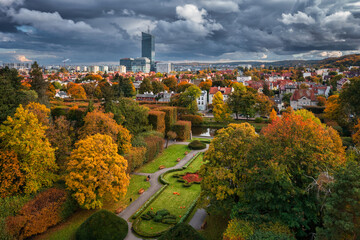 Fototapete - Autumn alley with yellow leaves in the public park in Gdansk Oliwa, Poland