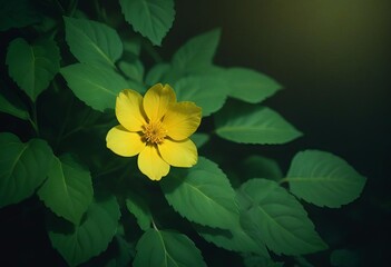 Wall Mural - yellow flower in the garden