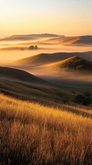 Poster - A mesmerizing sunrise over rolling hills of the Great Plains, showcasing golden grasses and a soft mist enveloping the landscape