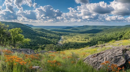 Poster - Breathtaking view of the Kiamichi Mountains adorned with vibrant wildflowers under a bright blue sky