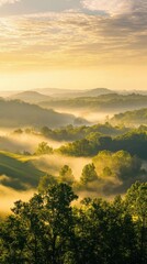 Poster - Stunning sunrise over the Ozark Mountains revealing misty valleys and lush forests